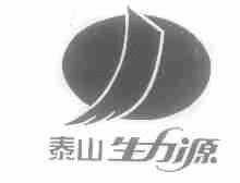 泰山生力源