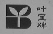叶宝