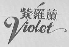 紫罗兰   VIOLET