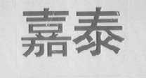 嘉泰