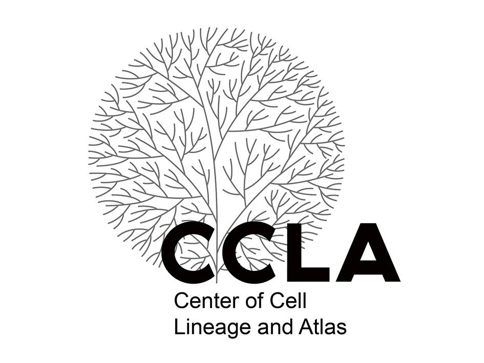 CCLA CENTER OF CELL LINEAGE AND ATLAS