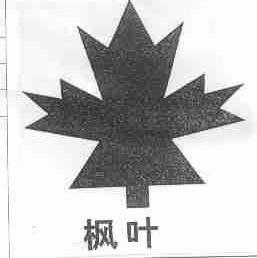 枫叶