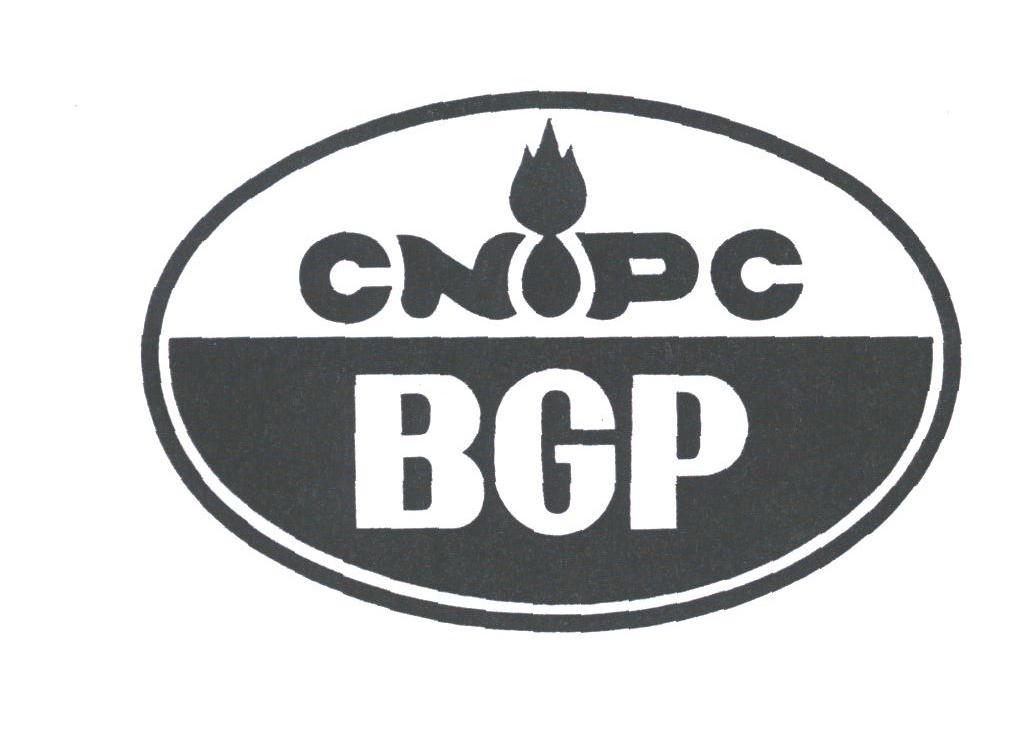 BGP CNPC