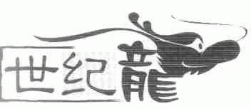 世纪龙