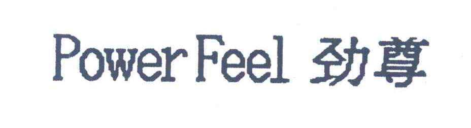 劲尊 POWER FEEL