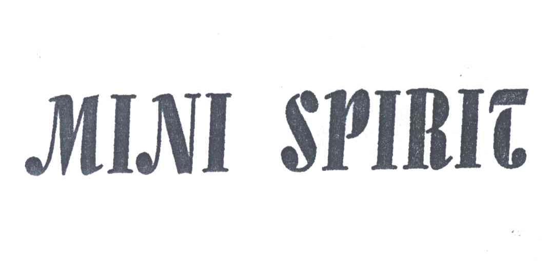 MINI SPIRIT
