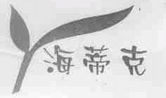 海蒂克