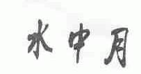 水中月