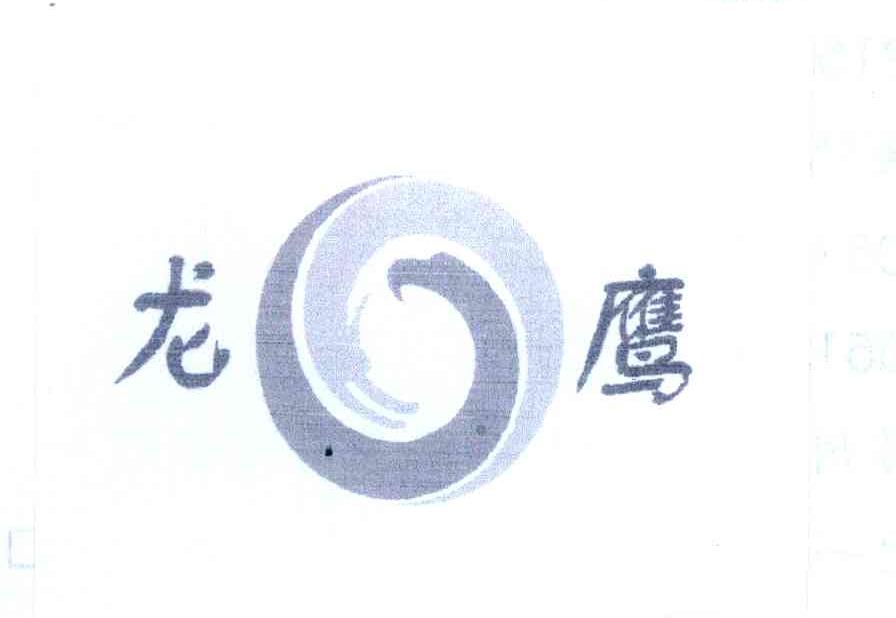龙鹰