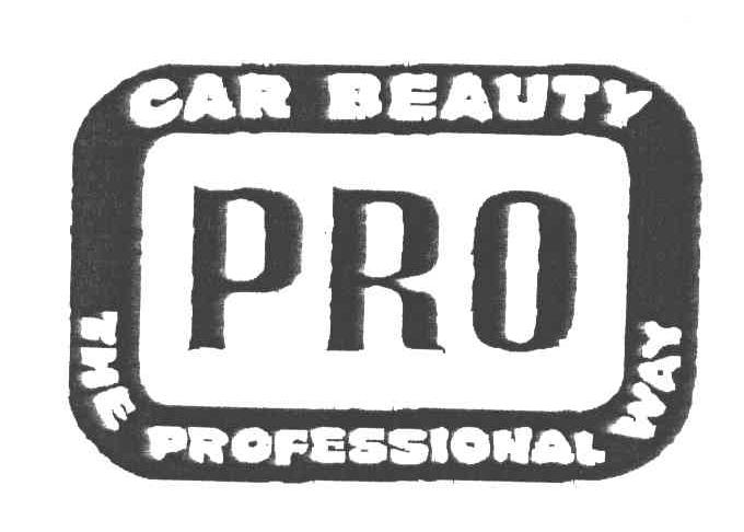 CAR BEAUTY THE PROFESSIONAL WAY；PRO