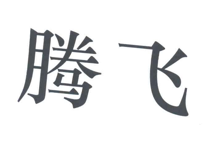 腾飞