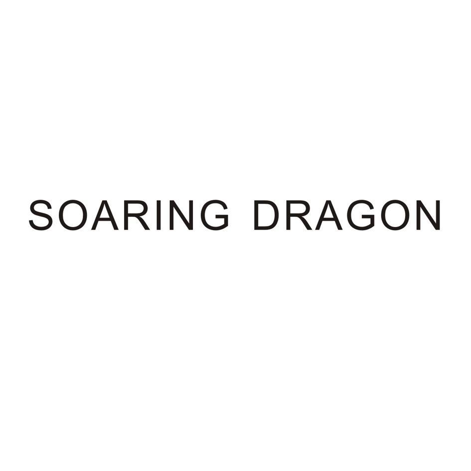 SOARING DRAGON