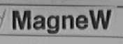 MAGNEW