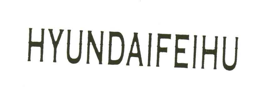HYUNDAIFEIHU