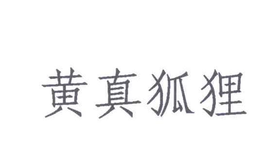 黄真狐狸