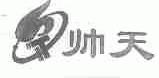 帅天