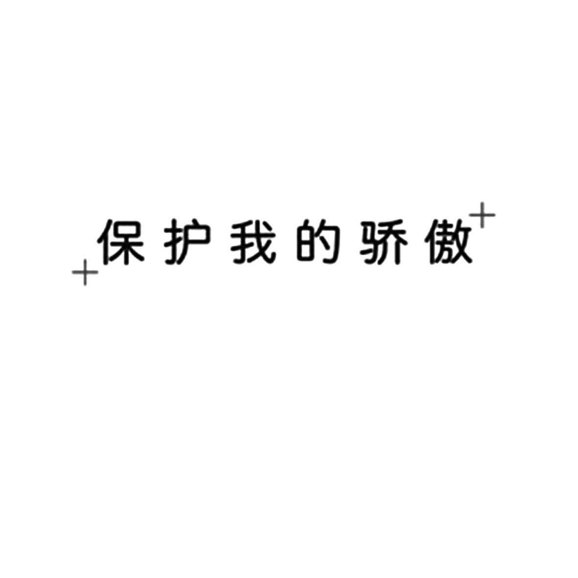 +保护我的骄傲+