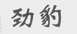 劲豹