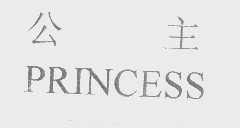 公主   PRINCESS