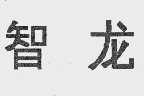 智龙
