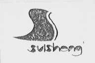 SUISHENG