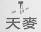 天麦