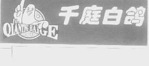 千庭白鸽