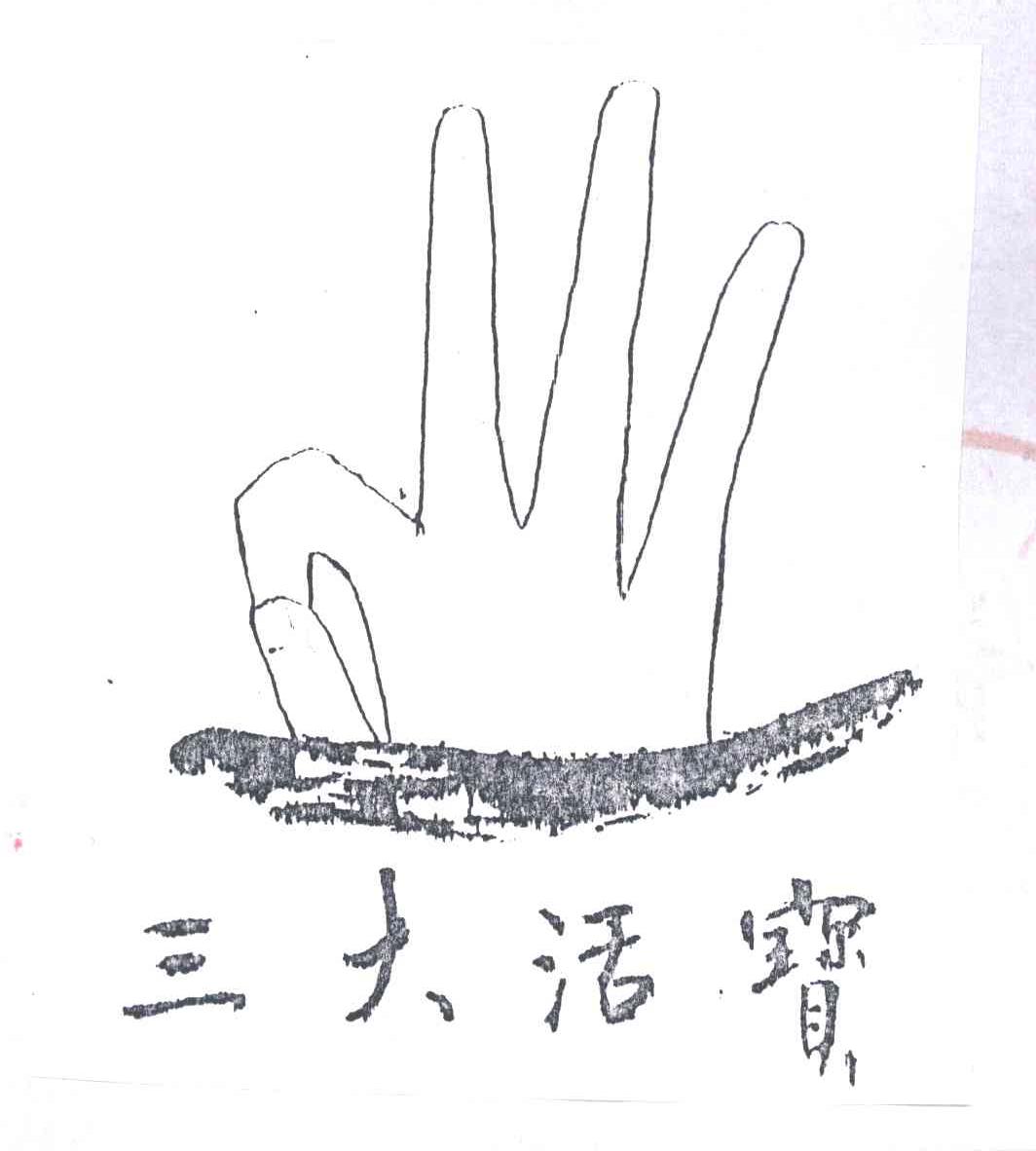 三大活宝