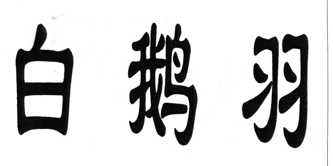 白鹅羽