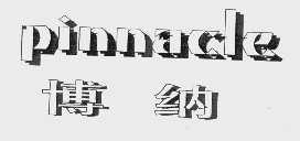 博纳   PINNACLE