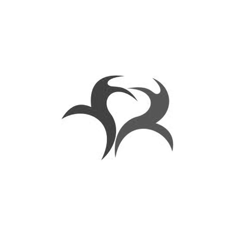 图形