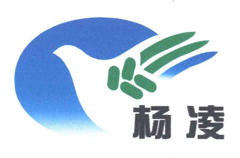 杨凌
