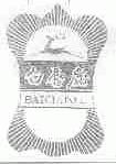 白唇鹿