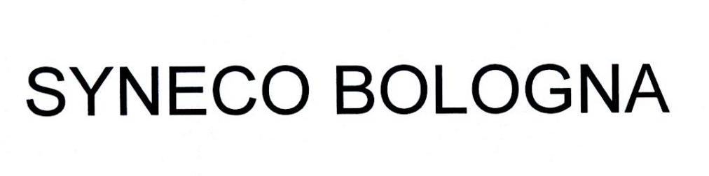 SYNECO BOLOGNA