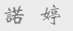 诺婷