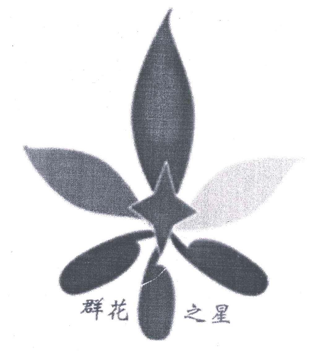 群花之星