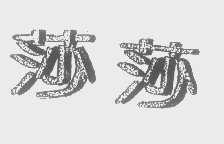 莎莎