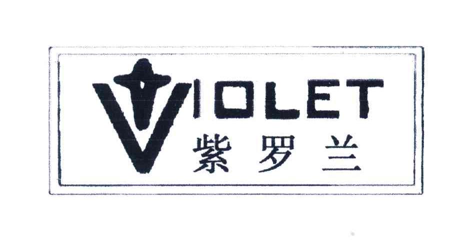 VIOLET;紫罗兰