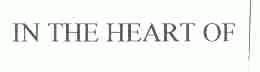 IN THE HEART OF