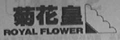ROYAL FLOWER 菊花皇