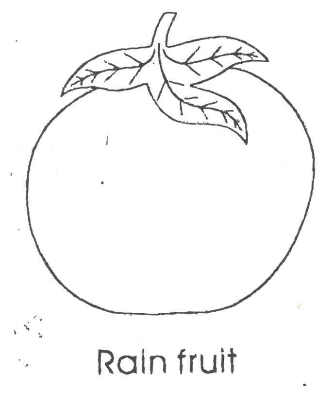 RALN FRUIT及图形