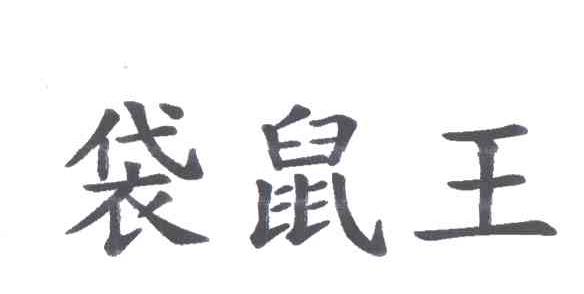 袋鼠王