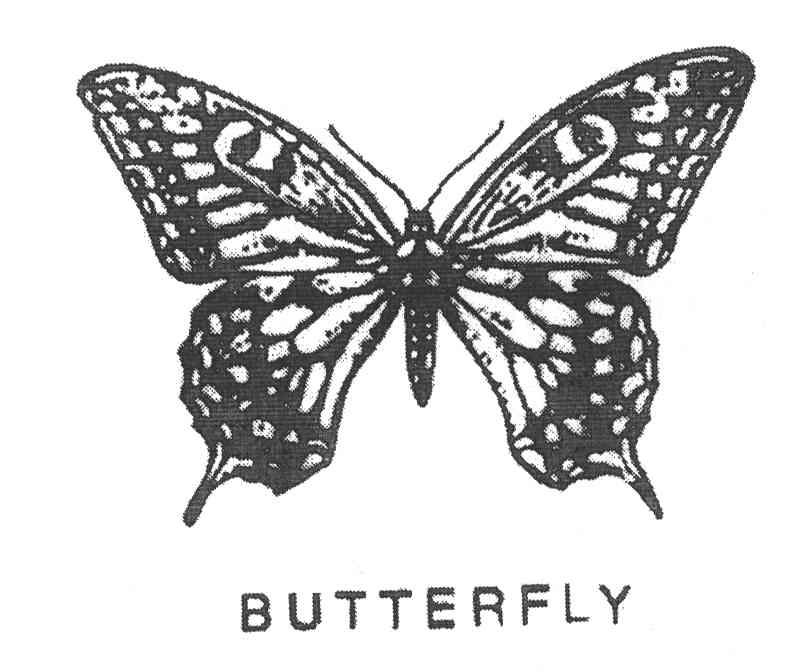 BUTTERFLY