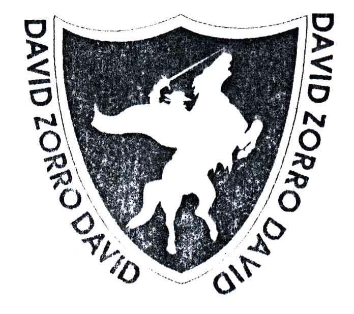 DAVID ZORRO DAVID