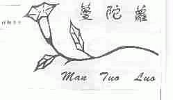 蔓陀萝