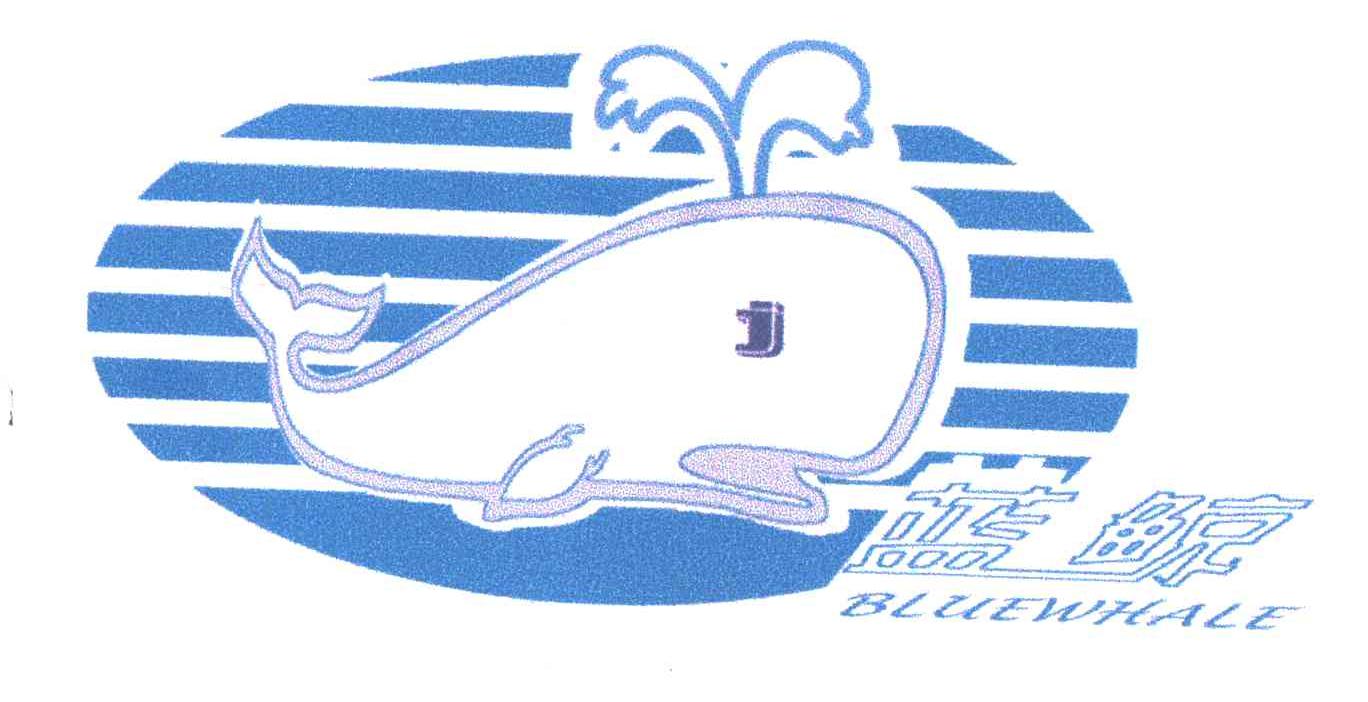 蓝鲸BLUEWHALE及图