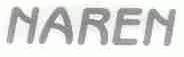 NAREN