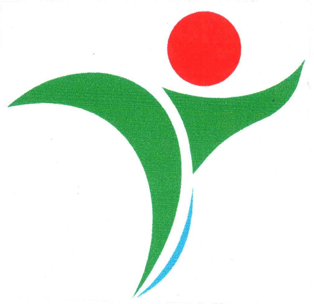 图形