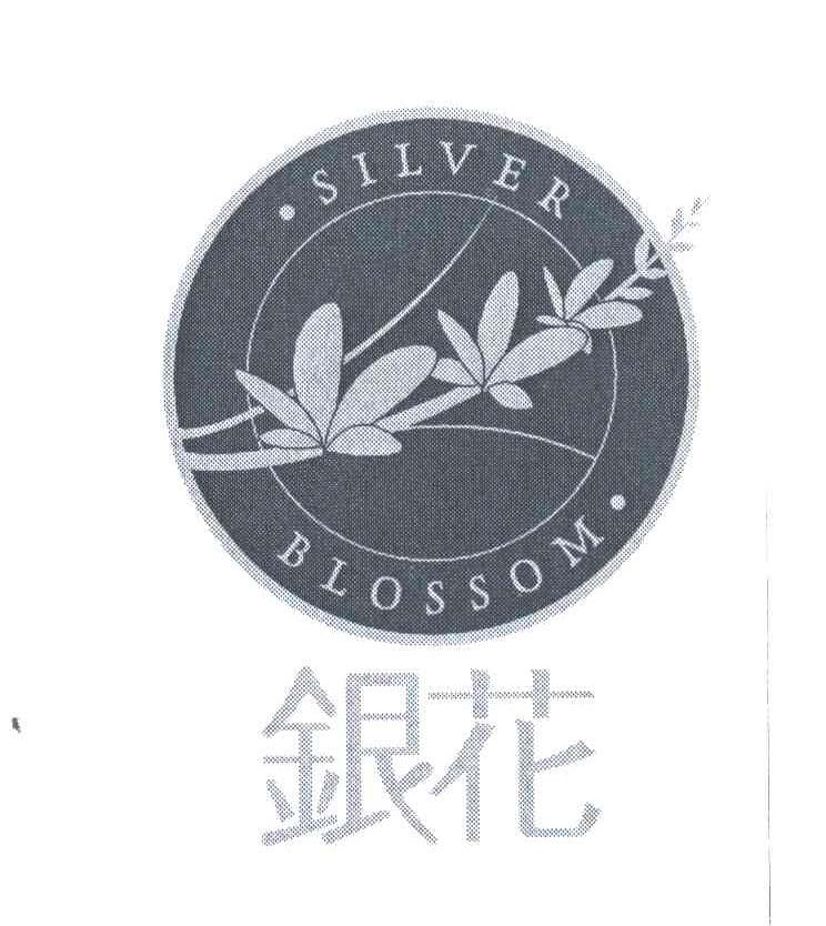 银花 SILVERBLOSSOM