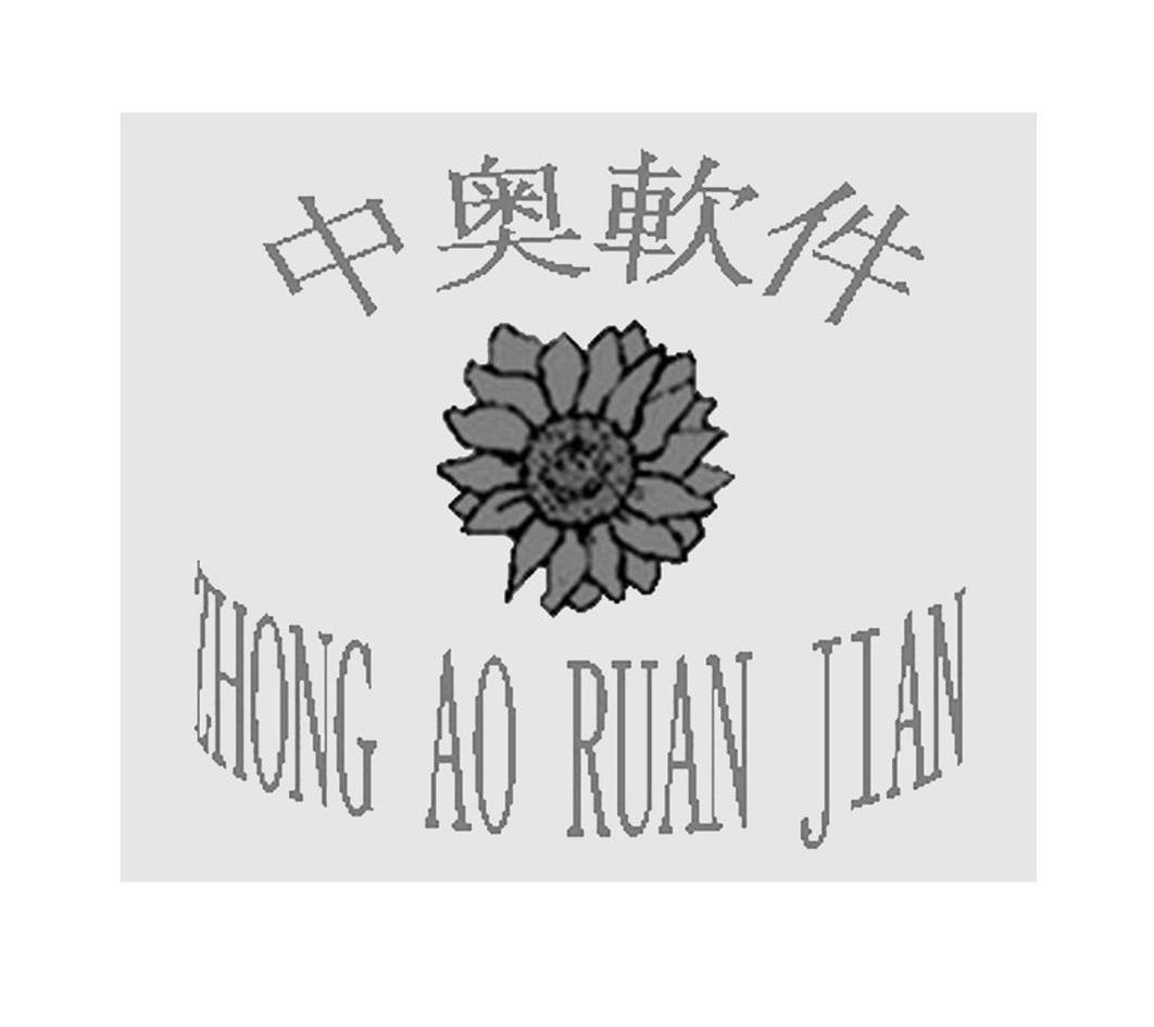 中奥软件